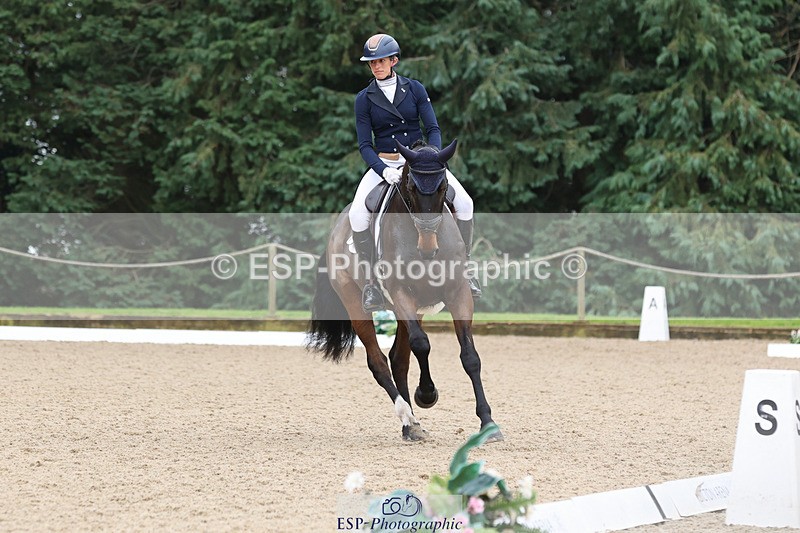 241024-120627-01986 - 056-Claire.Deuten-KILBUNNY.BLUE.BIRD