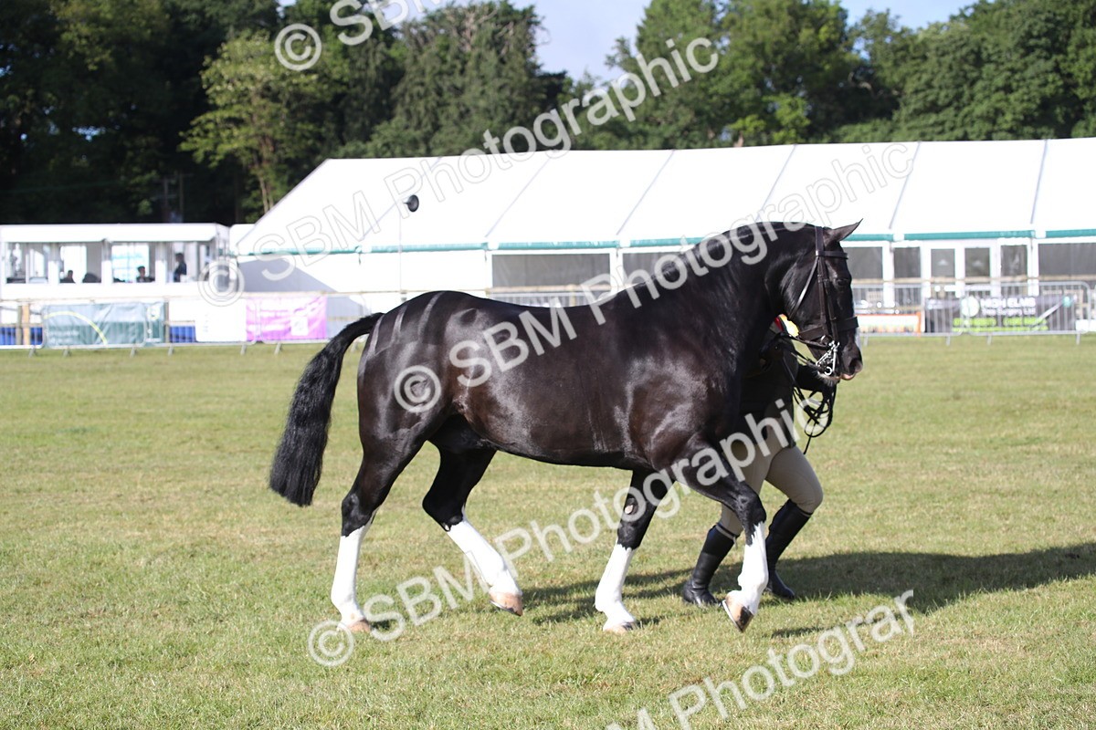 SBM_11118 - Class 92-93 - LIHS BSHA Rising Star Cobs