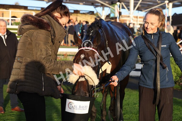 yr07102022r7-64 - Race 7 5.35pm IRE Incentive, It Pays To Buy Irish Stakes