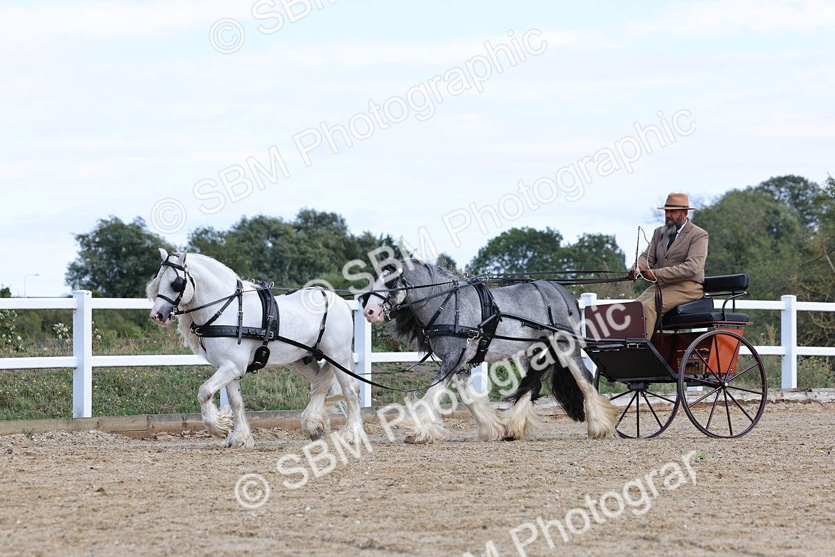 SBM_001187 - Class 16 - Pairs ,Multiples and Tandems