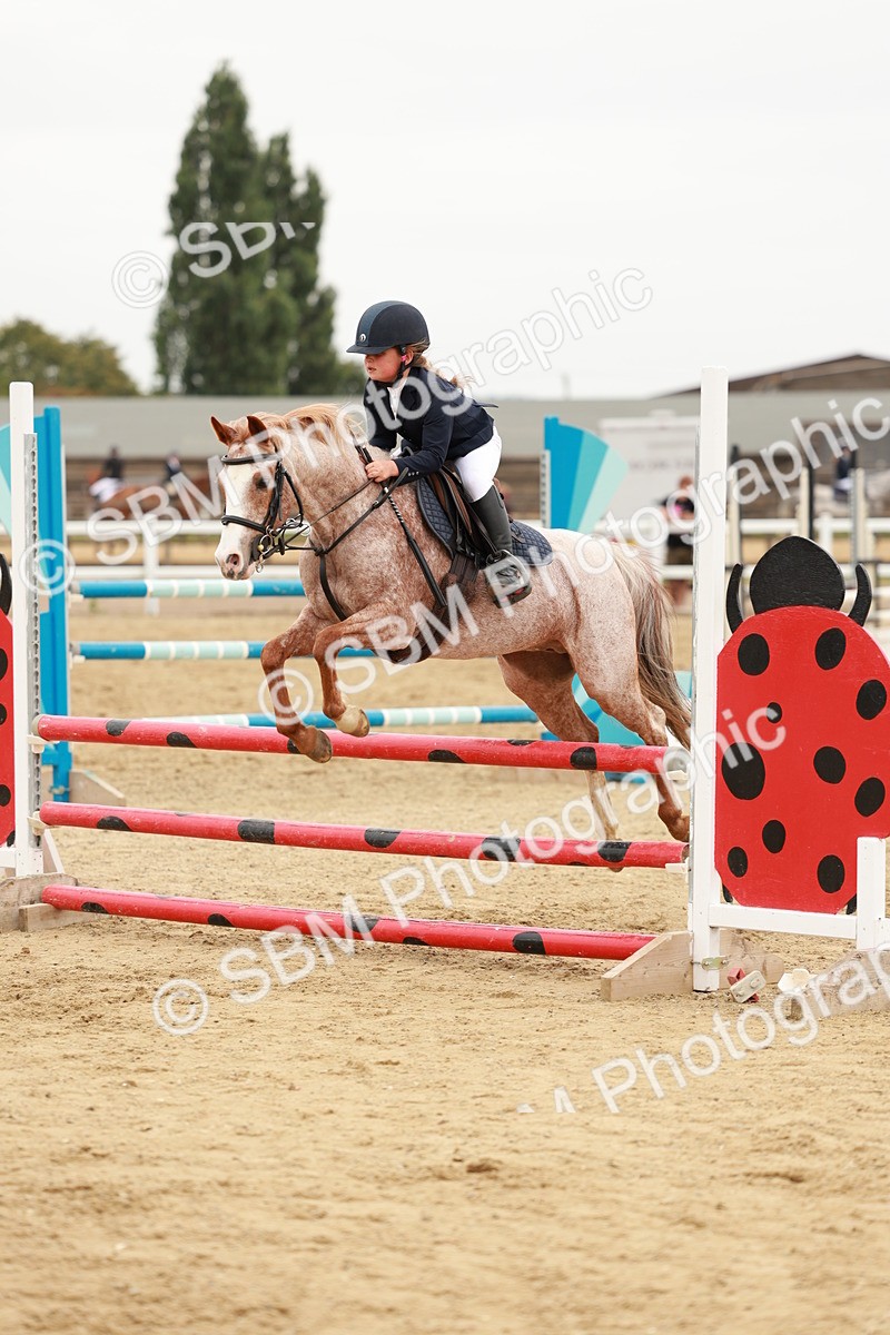 SBM_008418 - Class 5 - 80cm