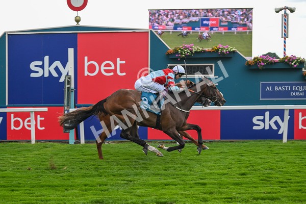 260725-Race 5-Beylerbeyi-7717 - Race 5 3.50pm Sky Bet, For The Fans Handicap