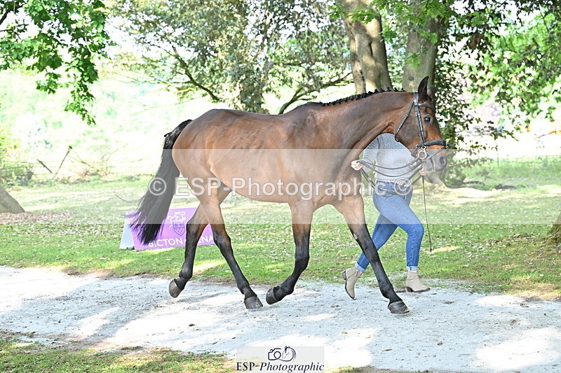 250521A-163552-01232 - C-225-Molly.Adams-QUINARA