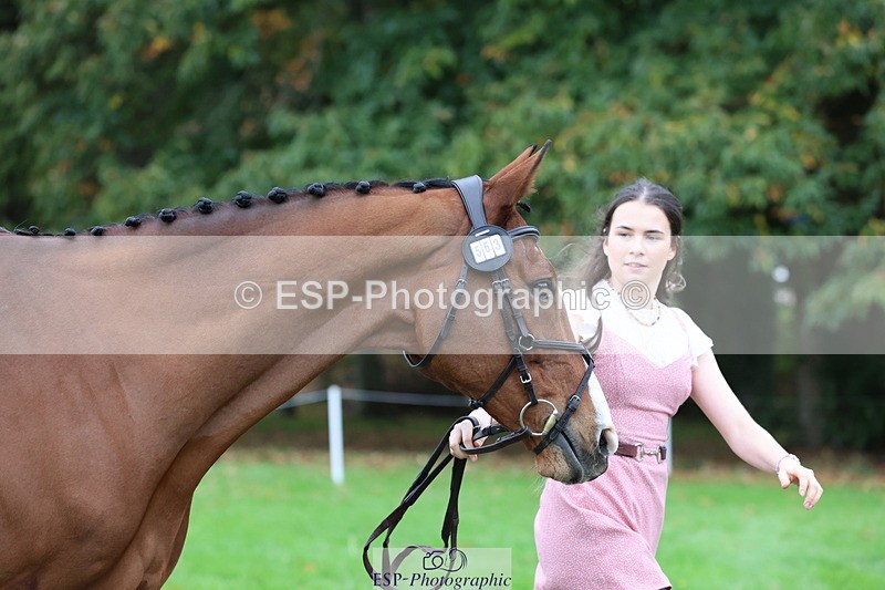 251026A-110156-23460 - G-563-Kirstin.Elisa.Evans