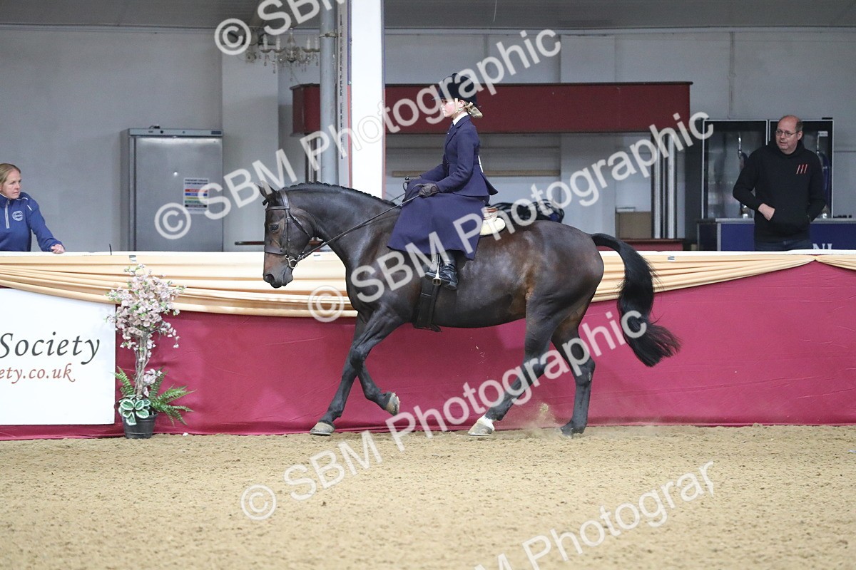 SBM_09333 - Class 101 Equitation (best rider), Junior