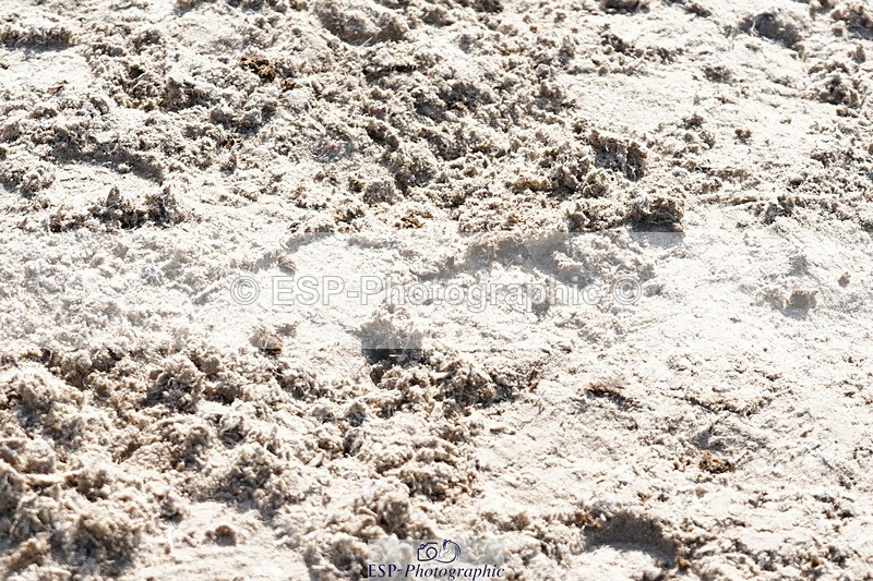 250420A-100352-00221 - Cls 02 70cm