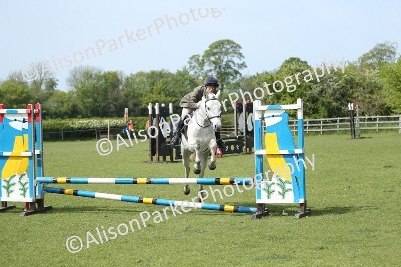 20260426-1786 - Class 14 - Novice 60cm