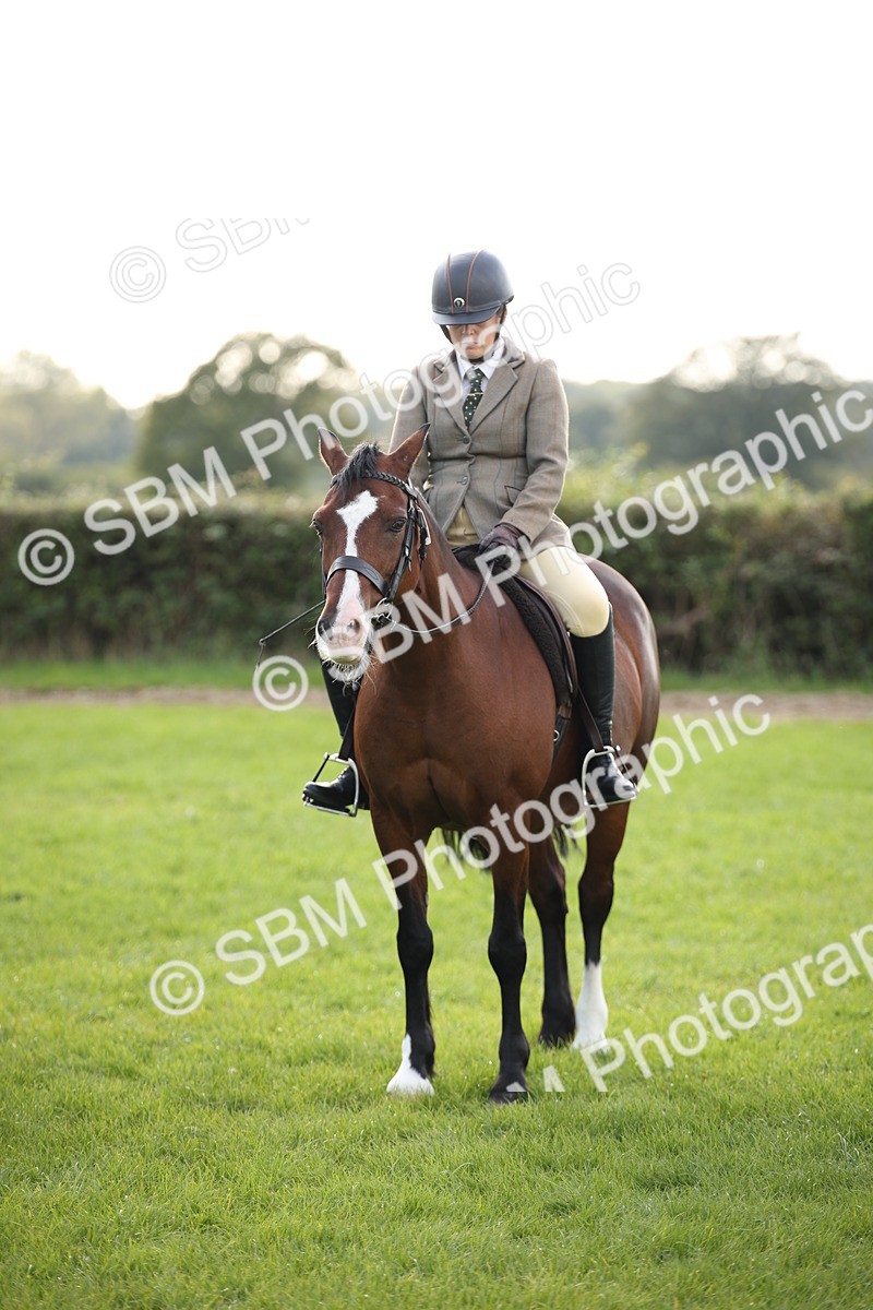 SBM_54268 - S27 - Mature Veteran - Ridden