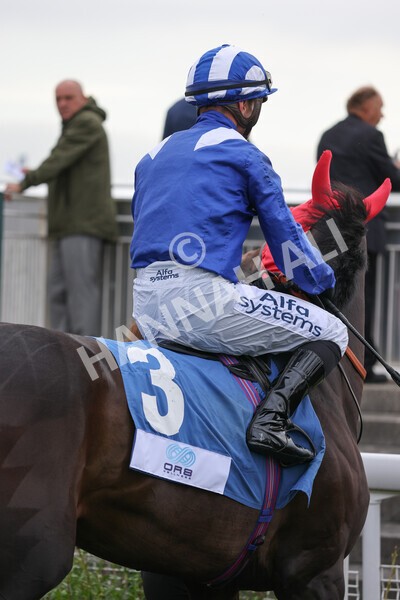 yr19082021r5-7 - Race 5 4.10pm OR8wellness ebfstallions Nursery Handicap