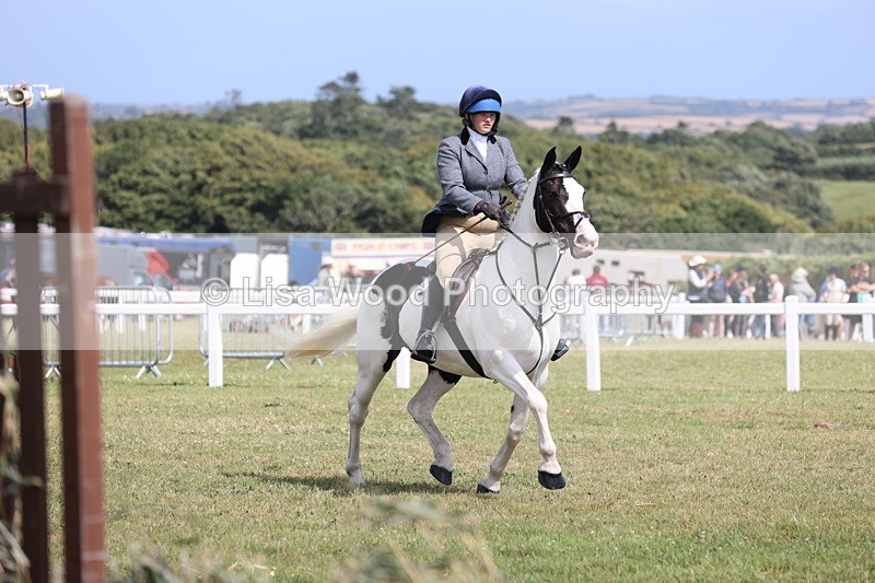 JPP_2198 - Class 19: Working Hunter 60cm