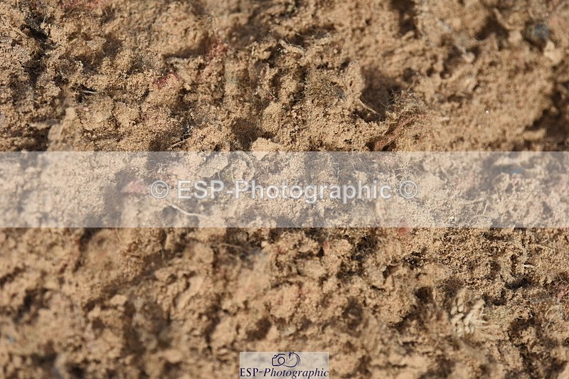 230906A-104638-00070 - Discovery & 1m Open