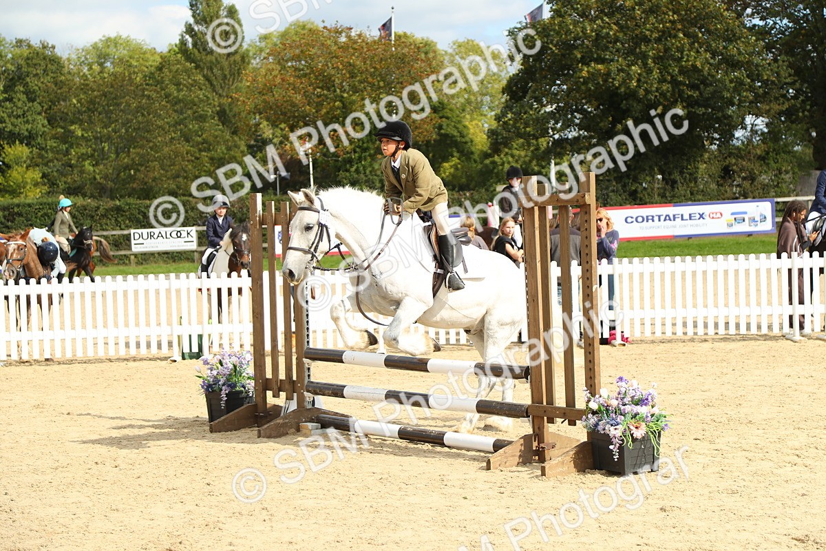 SBM_46608 - J7 - Junior Pony 60cm Championship