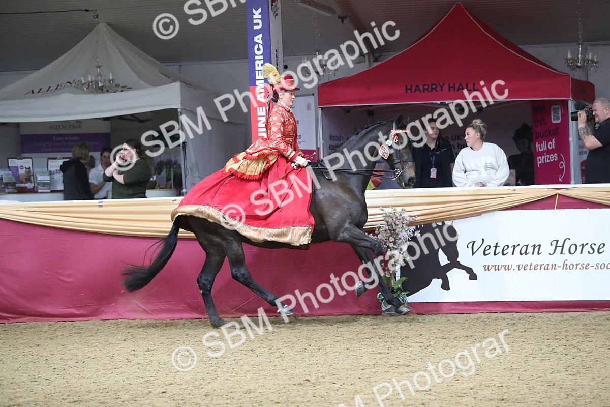 SBM_12141 - Class 107 Ridden Costume- Astride Adult (20+)