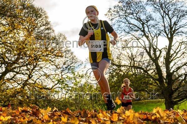 NatRel25-913776 - Young Female Set Two