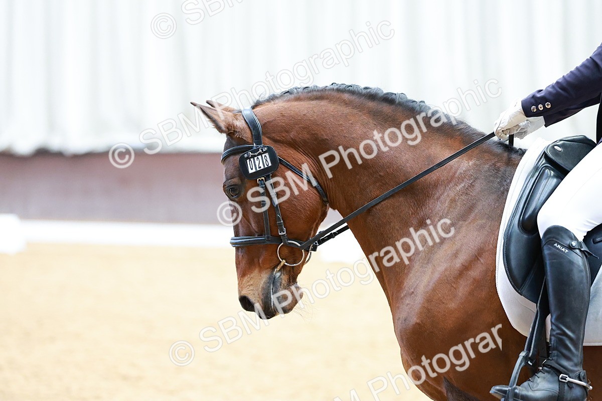 SBM_003440 - Class 15-16-18 - Novice 3-Elementary 1-PYO