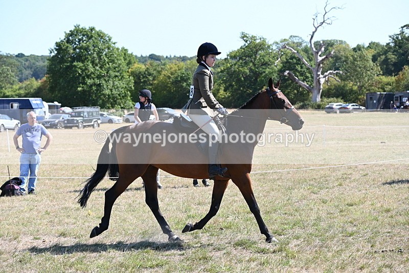 WJ6_8368 - Class 37a Best Loan Pony Ridden