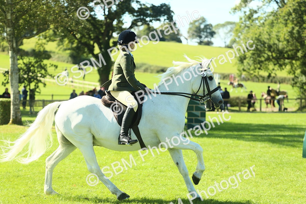 SBM_39177 - S29 - Novice & Newcomers Working Hunter Pony