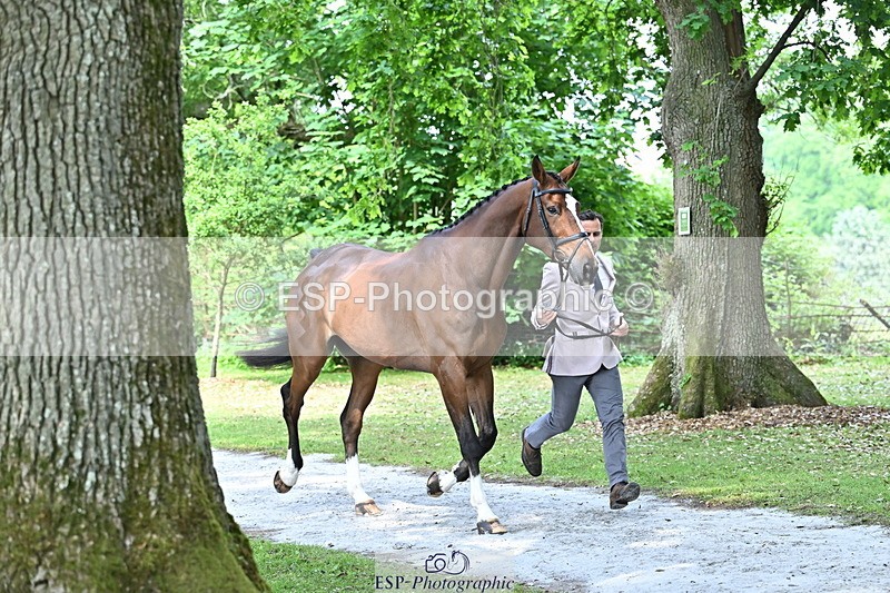 250521A-151120-00323 - B-303-Alexander.Bragg-SHANNONDALE.ALDO