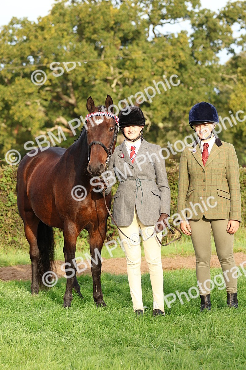 SBM_54833 - S39 - Starters In Hand Showing