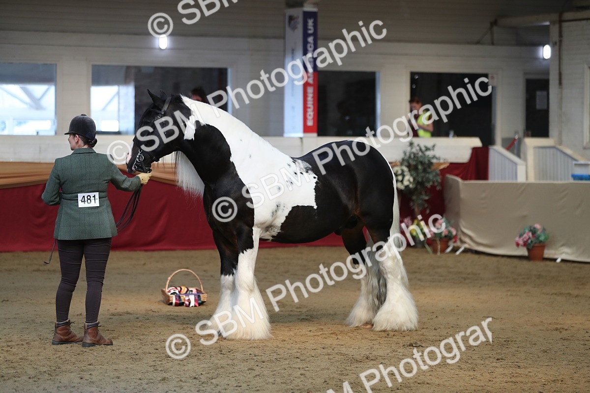 SBM_01367 - Class 3a Area IH Pre Vet