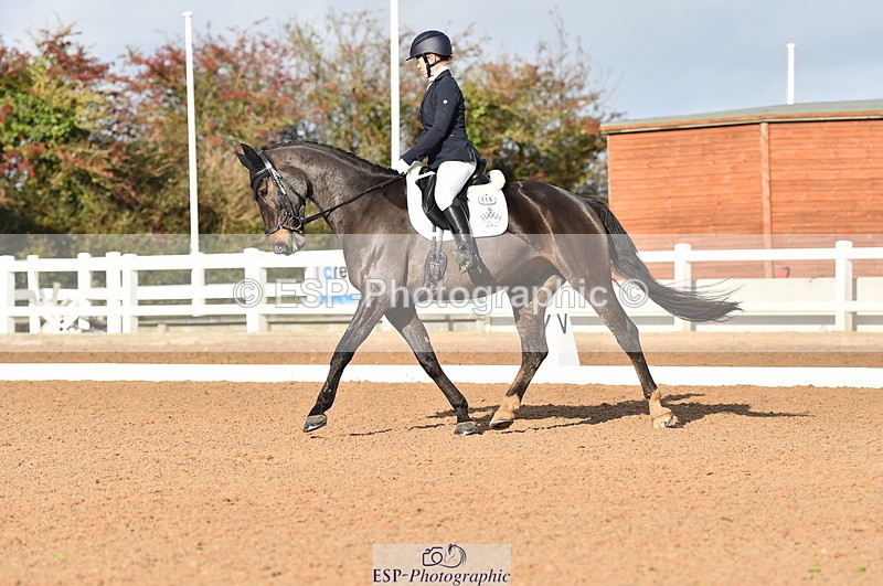 231104A-111020-01475 - Cls 5 Novice 37A