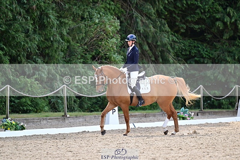 260731A-105808-00168 - Elementary Bronze 10.30 - Break