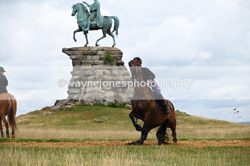 DSC_4295 - Time at Statue 09:50 to 11:09