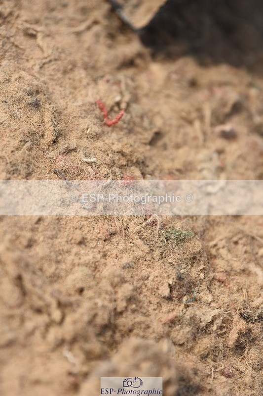 230915A-134714-00587 - Cls 11 Snr Discovery & 1m Open