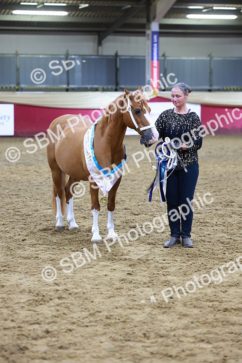 SBM_15299 - Class P - M&M Champ