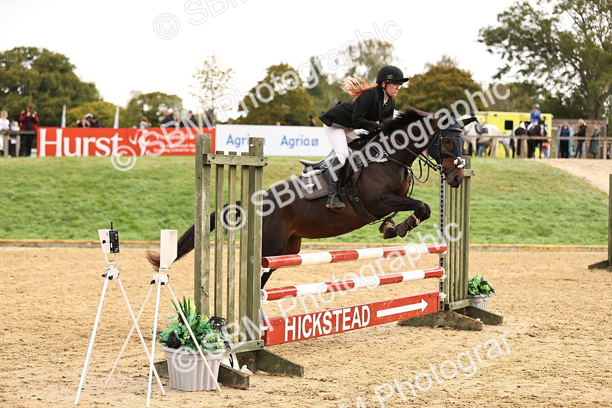 SBM_58445 - J41 - Grand Tour Horse & Pony 95cm