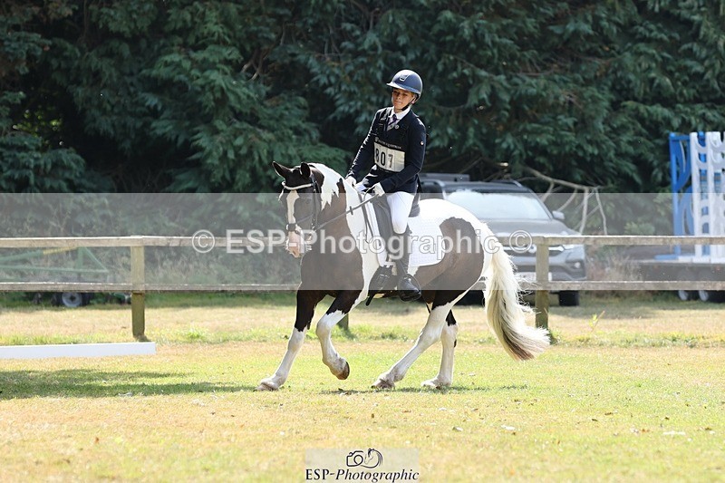 250823A-131518-31500 - Arena C