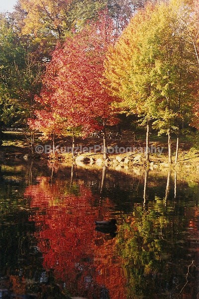  - Central Park