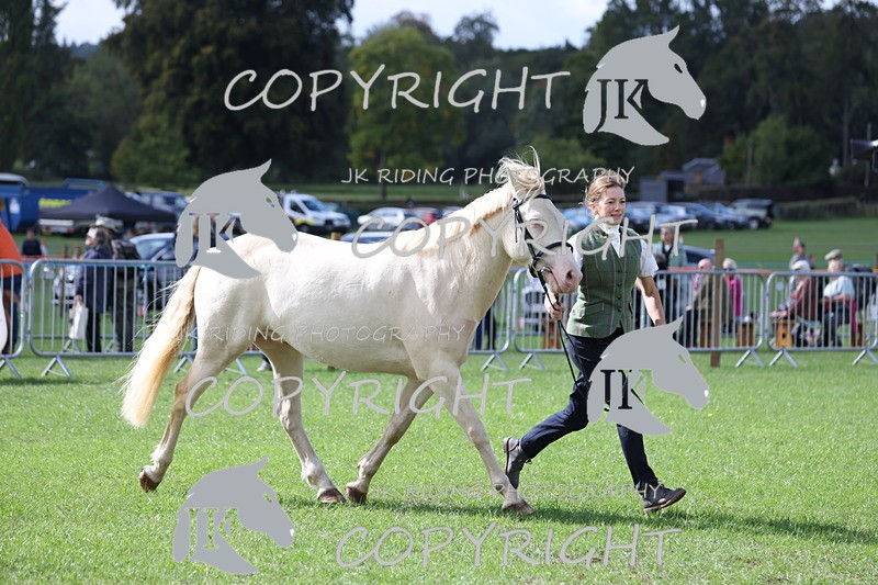 APP_3025 - Class 10a/b M&M in hand