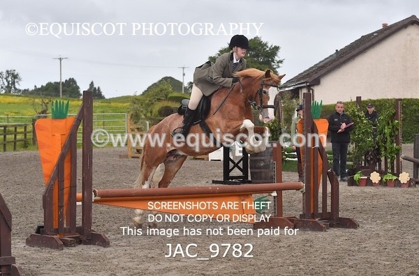 JAC_9782 - CLASS 2 Novice Working Hunter (0.60m - 0.70m)