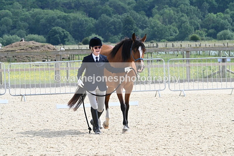 WJ7_8200 - Time 16:10 to 16:25