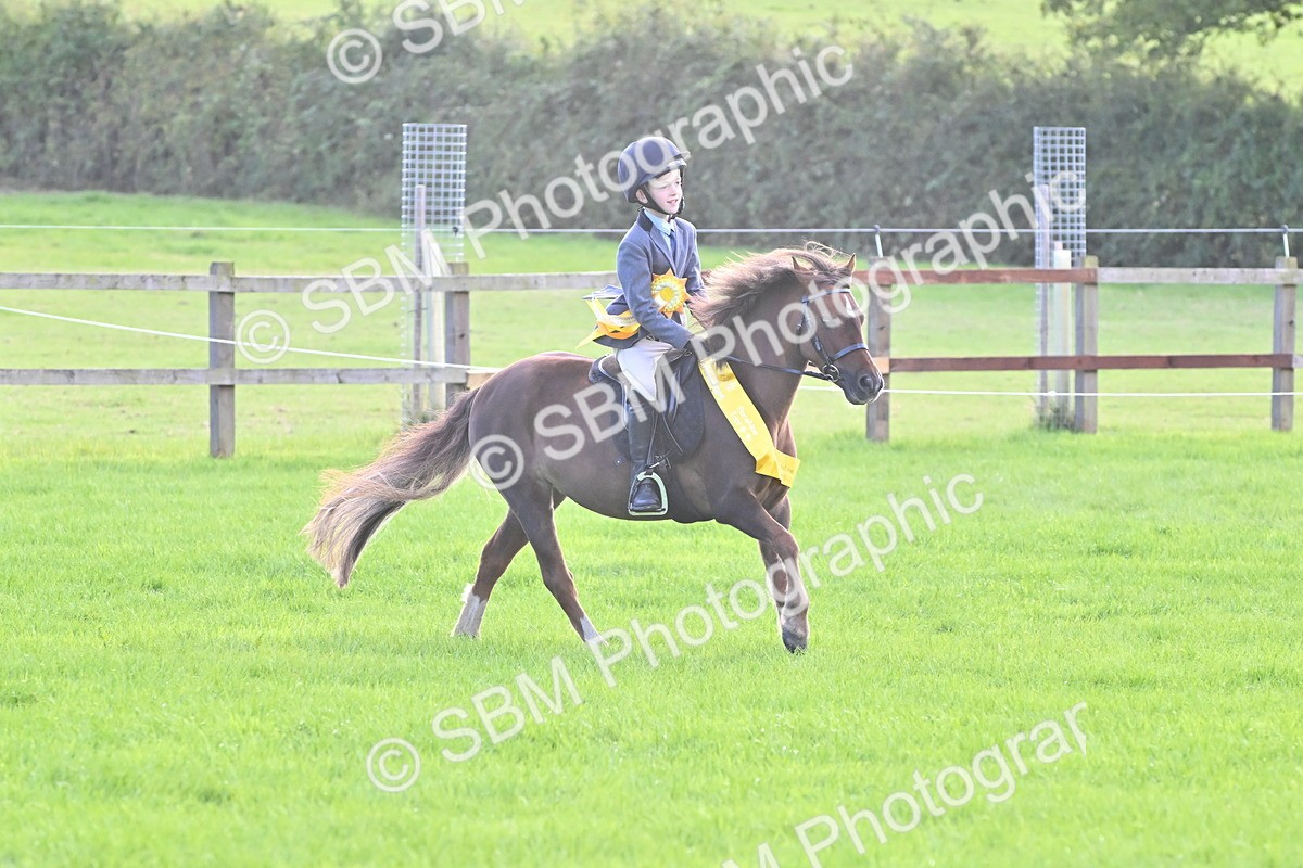 SBM_50377 - S21 - Novice & Newcomers First Ridden