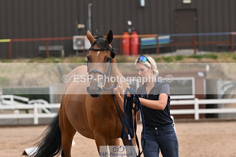 250716-145225-01464 - Trot Up 2.30 to 3.30