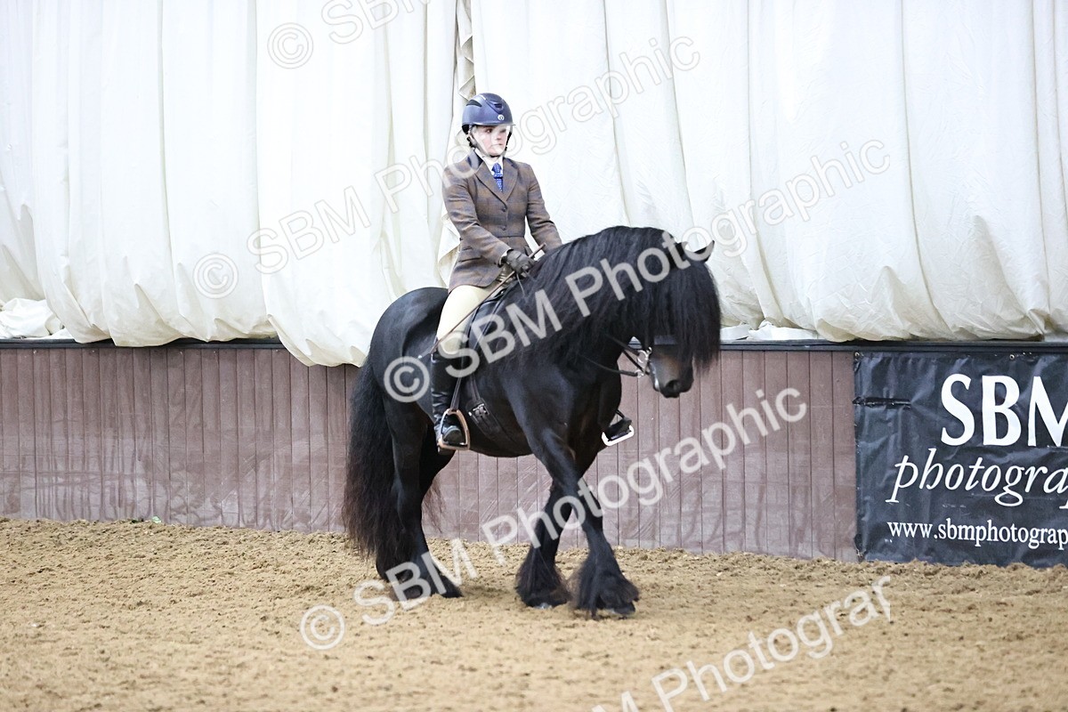 SBM_6533 - Class 43 - Ridden Native Breeds