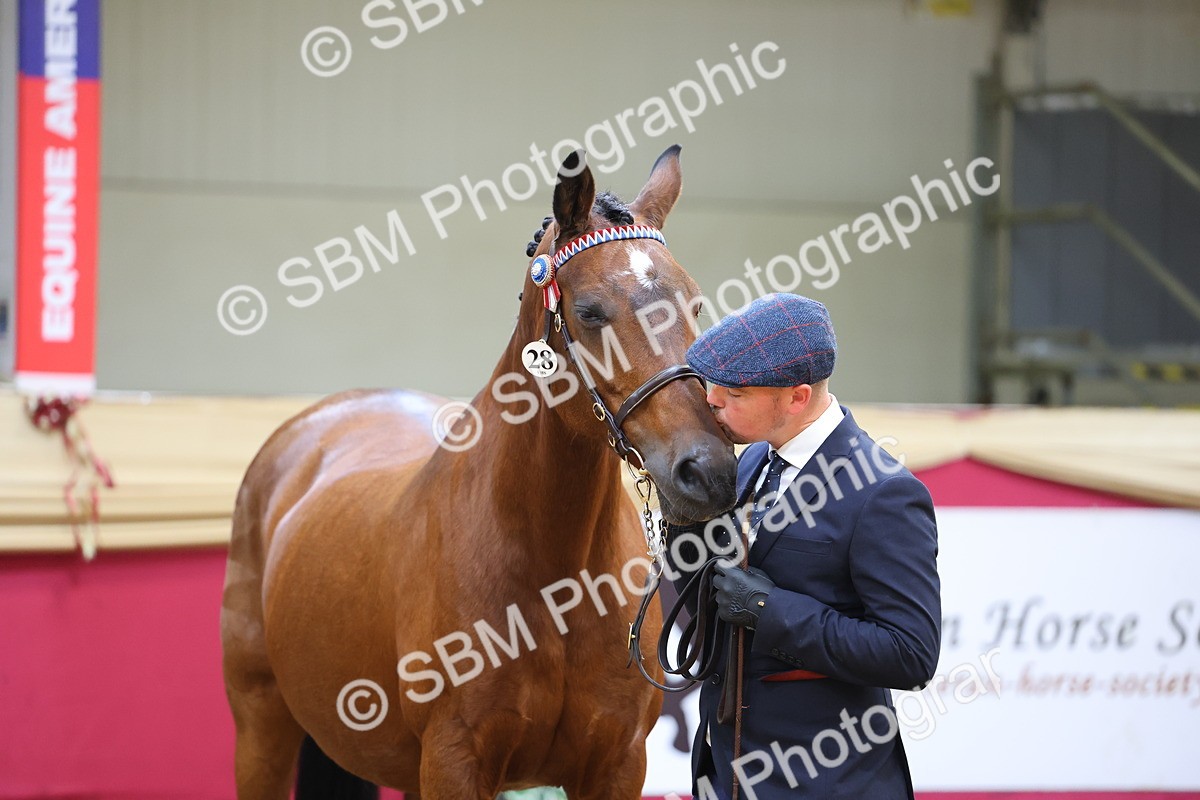 SBM_23236 - Supreme Final - IH Champion