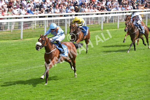 yr08072022r3-23 - Race 3 3.15pm William Hill Play Responsibly Irish EBF Novice Fillies Stakes