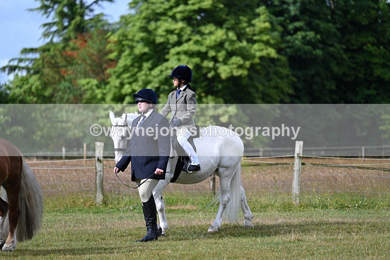 WJ7_4262 - Class 1 Lead Rein Pony