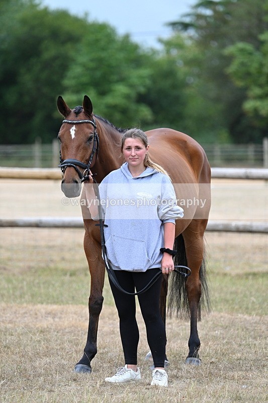 WJ7_9864 - Class 5a Most Handsome Gelding (above 14.2hh)