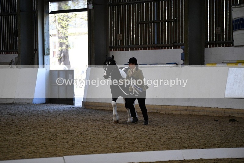 WJ5_3751 - Class 5 In Hand Veterans