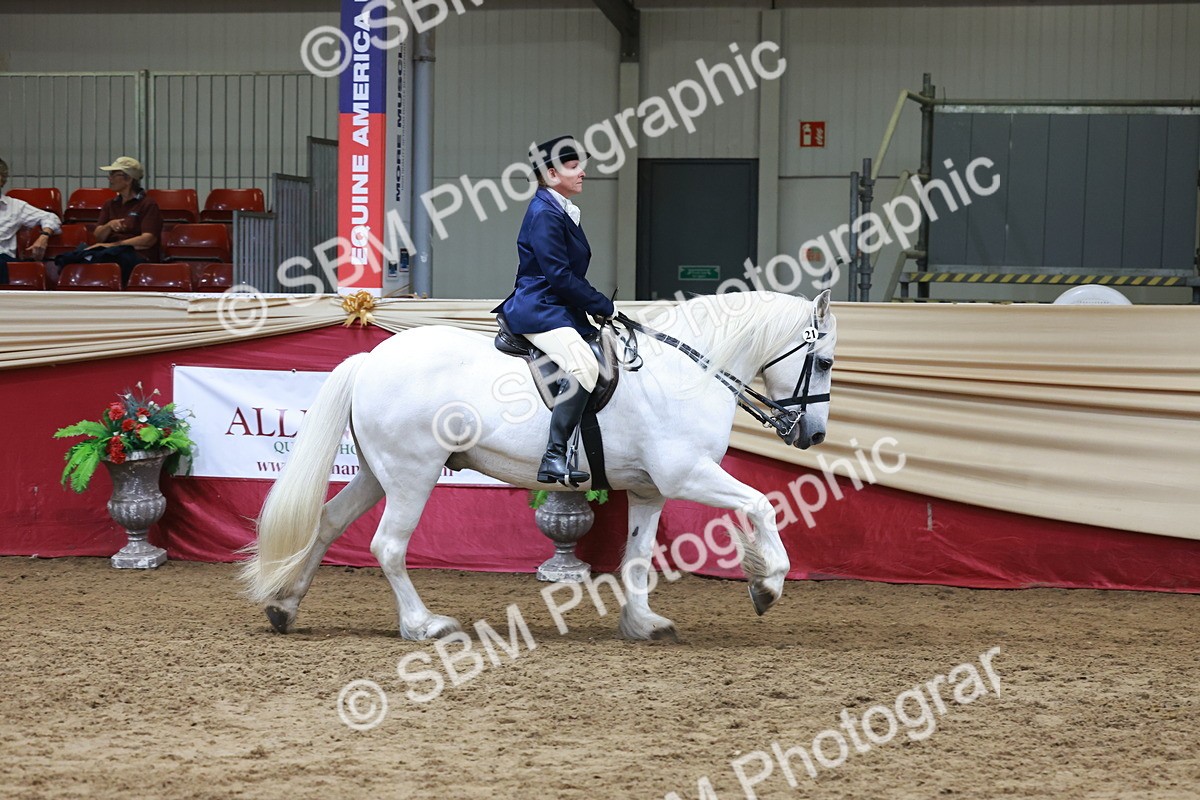 SBM_18547 - Class 952 - M&M Ridden Supreme Final