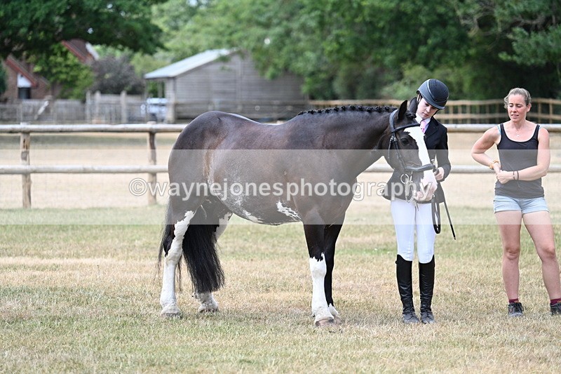 WJ7_1848 - Class 4a Prettiest Mare 14.2hh and over hand