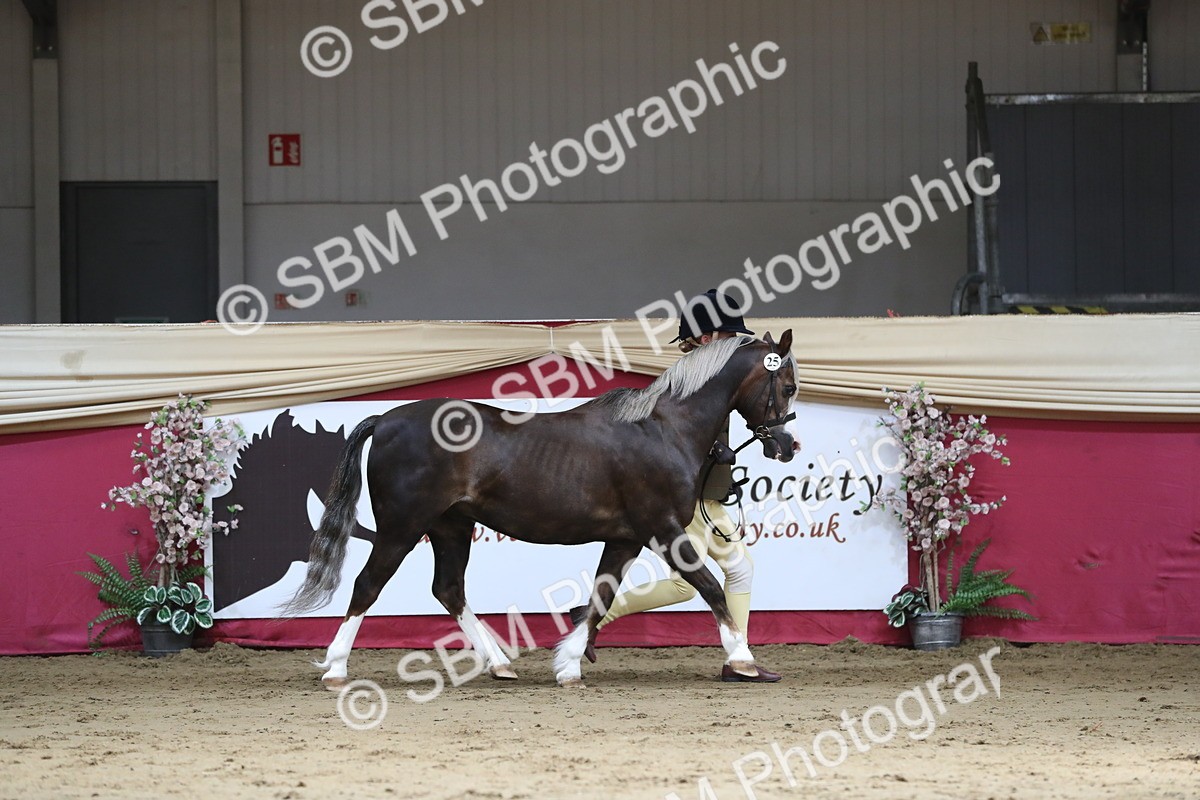 SBM_04314 - Class 7R Regional - IH Diamond