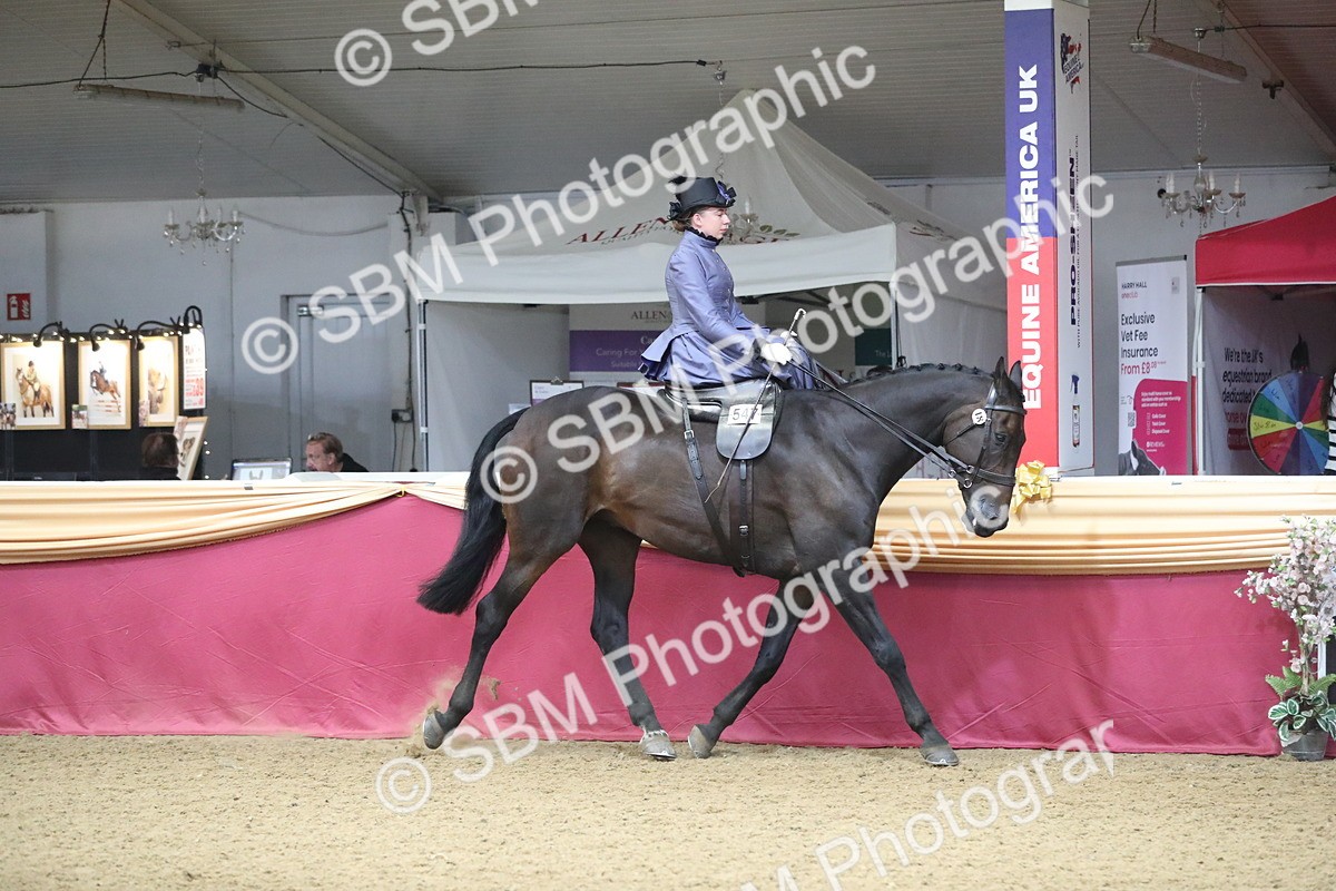 SBM_11518 - Class 105 Ridden Costume- Side Saddle