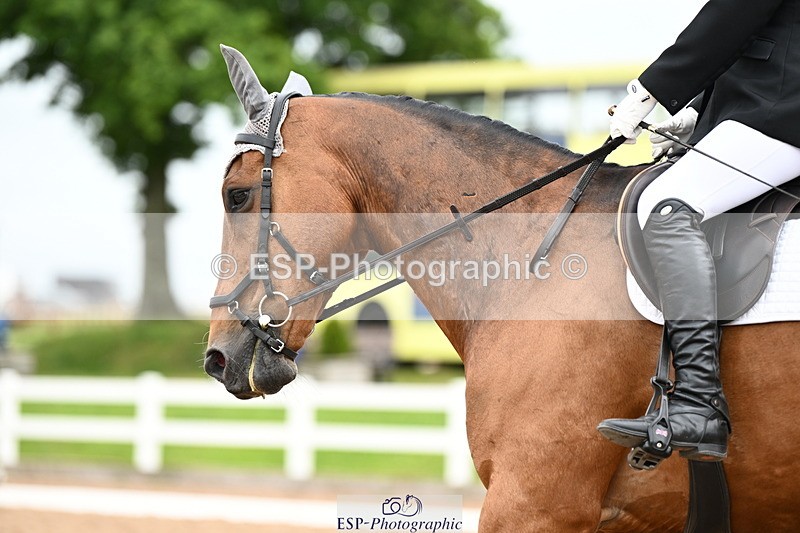 240623A-135022-19101 - Cls 5+6 Novice 27+30