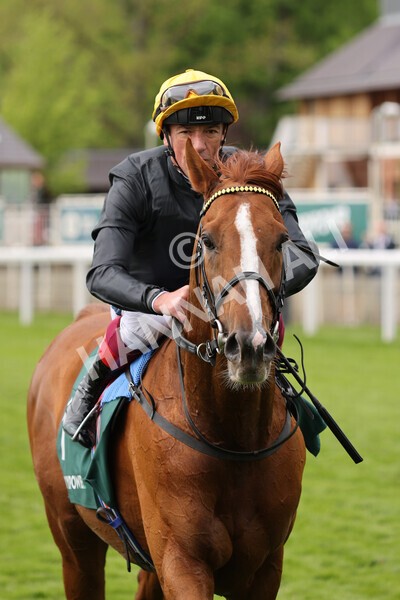 yr13052022r4-63 - Race 4 3.35pm The Paddy Power Yorkshire Cup (British Champions Series Race)