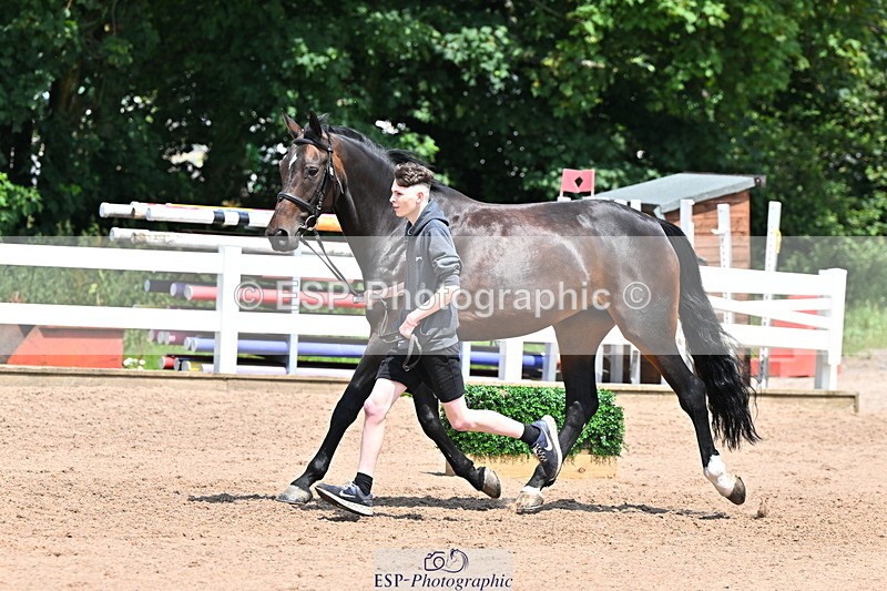 240718A-105314-01743 - Trot Up 1pm to 2pm